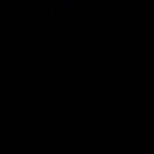 Meet your Posher, Simone